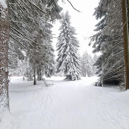 Hotel Zum Gruendle Oberhof  Exteriör bild